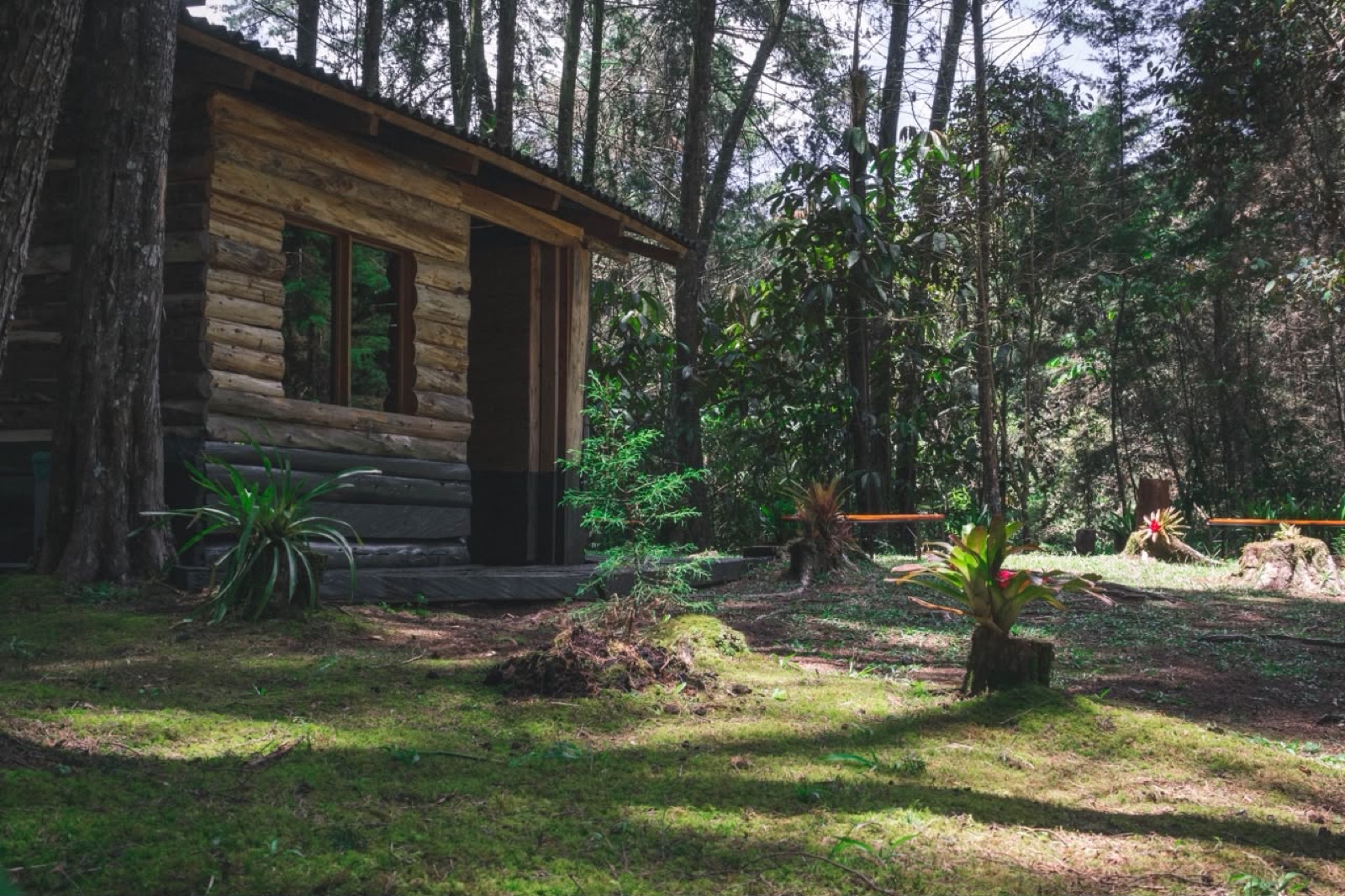 Caba&ntilde;a de troncos en el bosque del Centro de Eventos VID