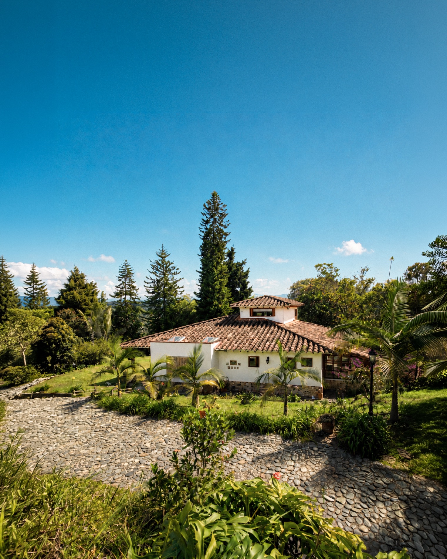 Sede de ConscienciaVIBA en Guarne, entre araucarias y palmeras