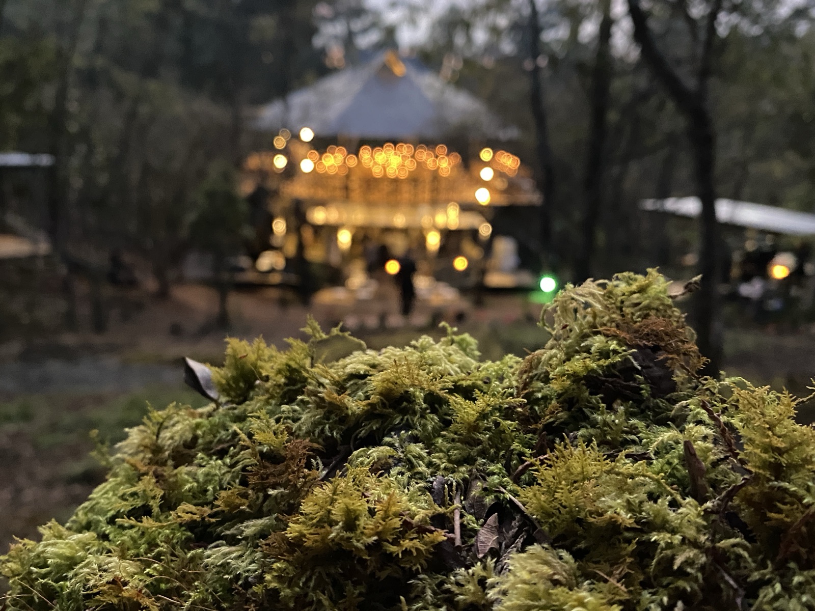 La maloca iluminada al anochecer, vista desde el bosque